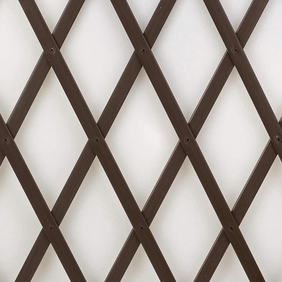 PolkaHome 100 x 2 meter bruin uittrekbaar rankrooster van pvc voor wandbevestiging van bloemen-lussenplanten-Treplas- klimplanten klimplantgeleider