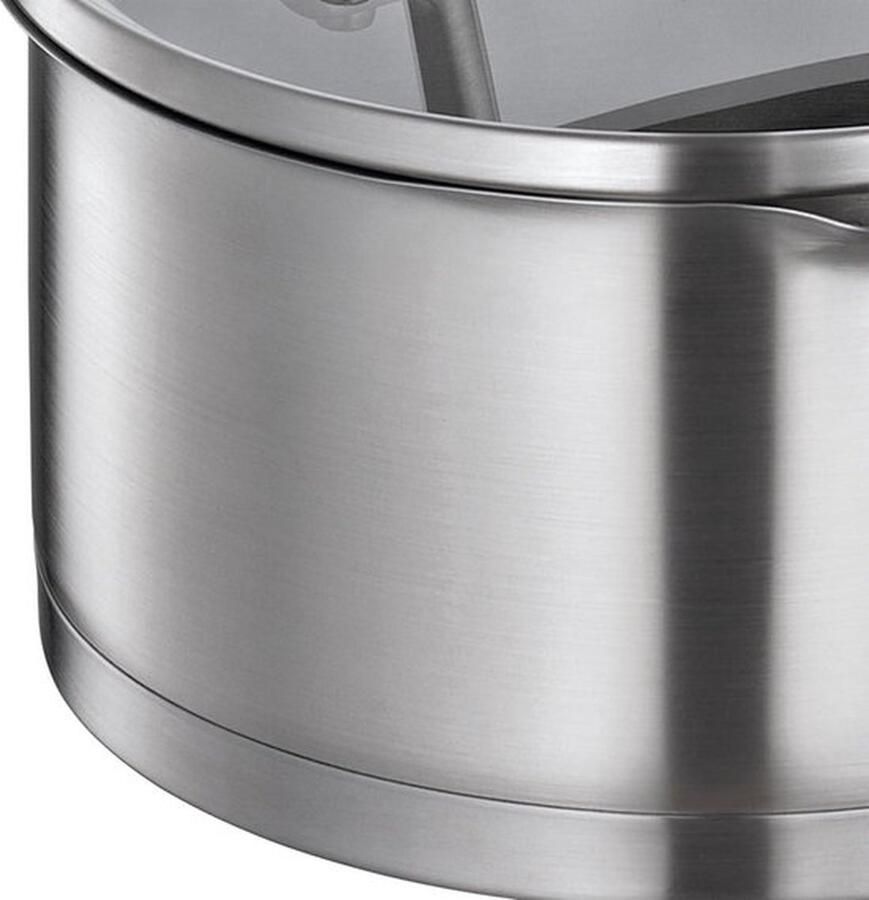 PolkaHome Steelpan met deksel van veiligheidsglas en schenktuit geschikt voor inductie fijne en grove zeef Ø 16 cm
