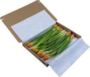Pots&Plants Oranje brievenbus tulpen