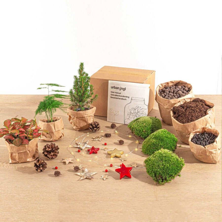 Pots&Plants Planten Terrarium Pakket Mini-Kerstboom 3 Planten