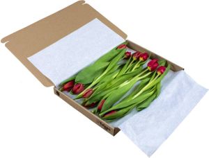 Pots&Plants Rode brievenbus tulpen