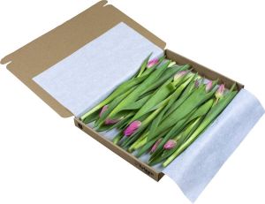 Pots&Plants Roze brievenbus tulpen