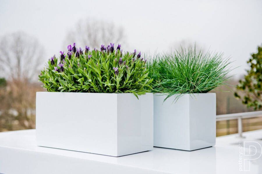 Pottery Pots Balcony Plantenbak Hoogglans Rechthoek Wit 60x20x20cm uitwendige maat plantopening 58x18x18 cm
