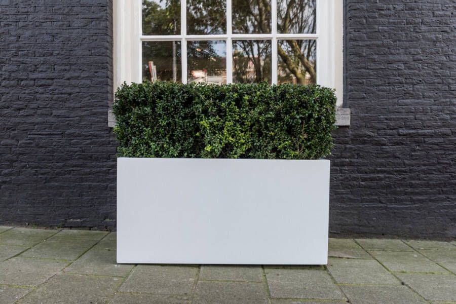 Pottery Pots Plantenpot Jort M Matte White L:100 x W:40 x H:50