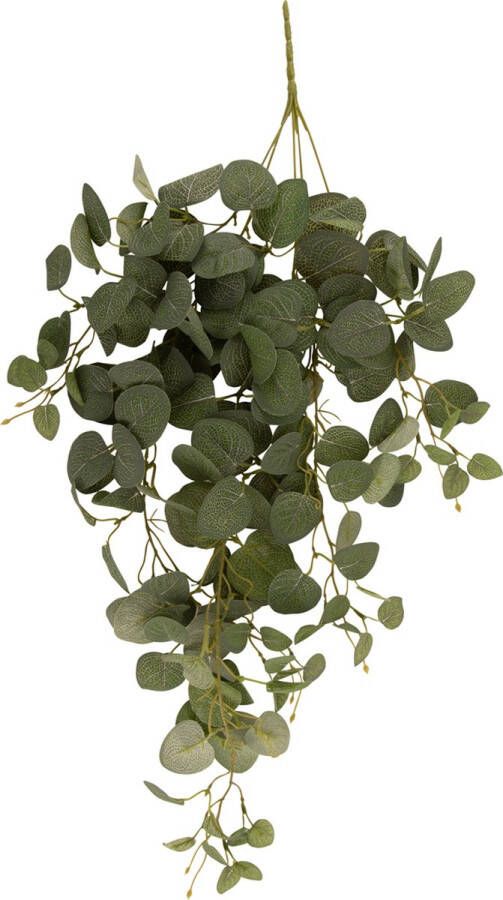 Present Time Artificial plant Hanging Eucalyptus