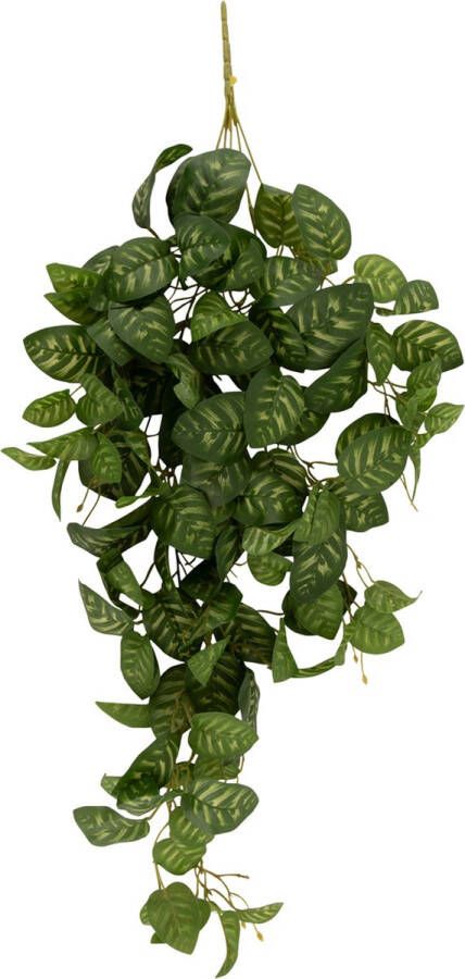 Present Time Artificial plant Hanging Philodendron