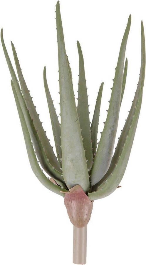 Present Time Kunstplant Aloe Thorn Stem 39 4 Cm Groen