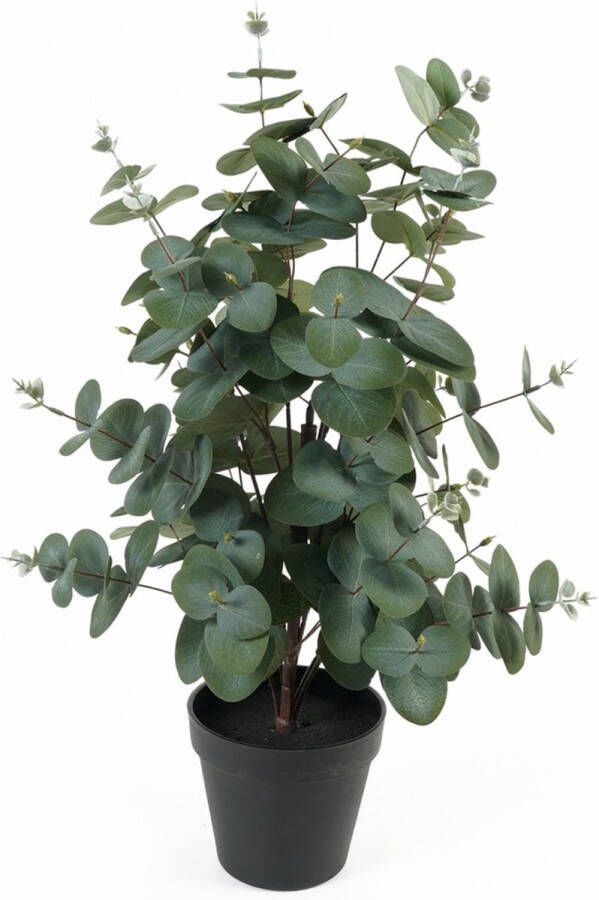 Present Time Kunstplant Eucalyptus Leaf Groen 25x25x54cm Modern