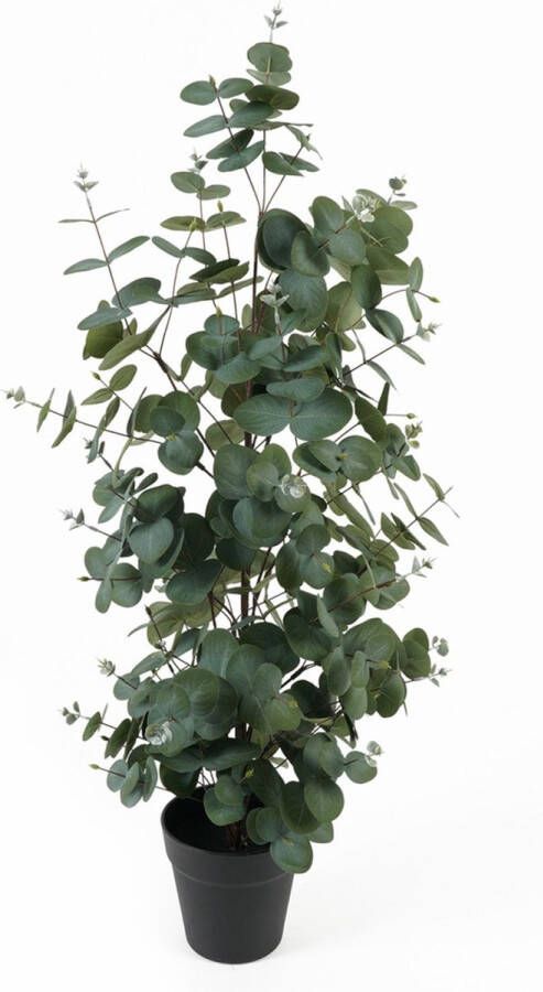 Present Time Kunstplant Eucalyptus Leaf Large Groen 30x30x78cm Modern