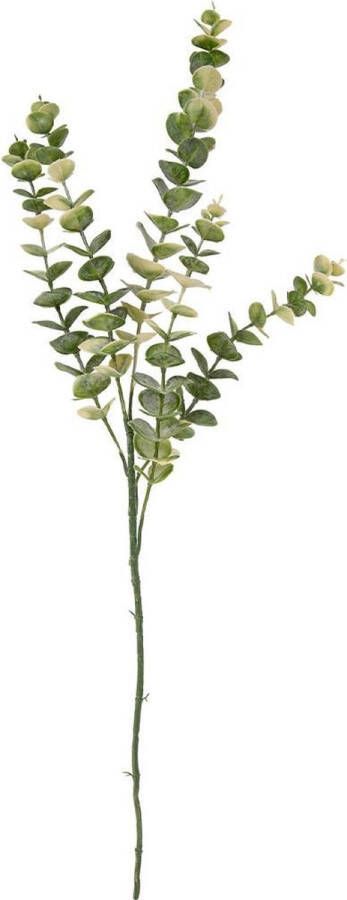 Present Time Kunstplant Eucalyptus Stem 82.5 Cm Groen