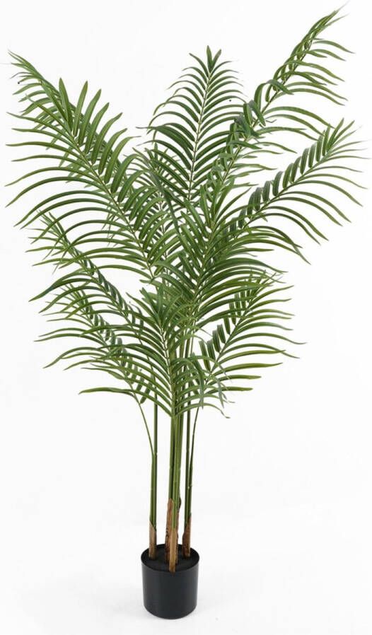 Present Time Kunstplant Kwai Tree Groen 60x60x140cm Modern