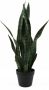 Present Time Kunstplant Sansevieria Groen 30x30x66cm Modern - Thumbnail 1