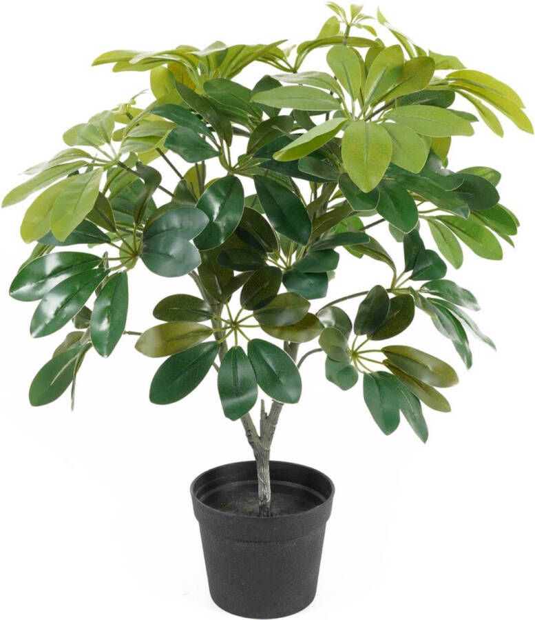 Present Time Kunstplant Shefflera Groen 40x40x48cm Modern