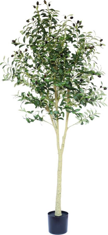 PrettyPlants Kunst Olijfboom 180cm Grote kunstplant Voor Binnen Nep Olijfboom Valse Olijfboom Olijf Kunstplant 180cm