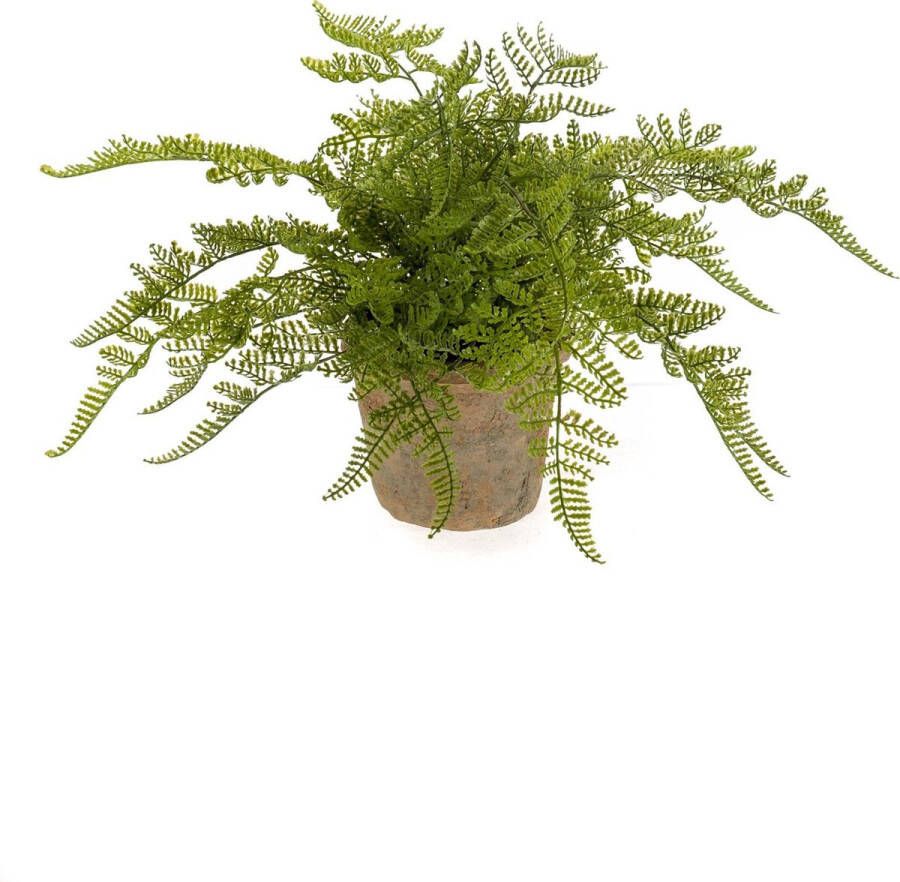 PrettyPlants Kunstplant Fern Groen Polyester Groen 30x15x15cm (hxbxd) Woonexpress