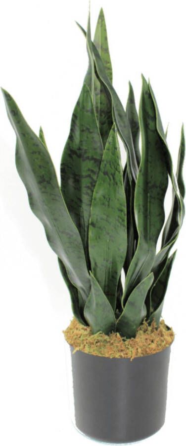 PrettyPlants Sansevieria Kunstplant 40cm | Sansevieria Woestijnplant Kunstplant | Kunstplanten voor Binnen | Sansevieria Kleine Kunstplant