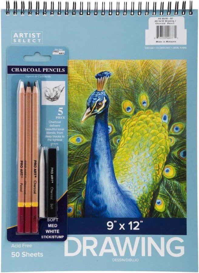 Pro Art Houtskool tekenset inclusief schetsboek van 22x30 cm