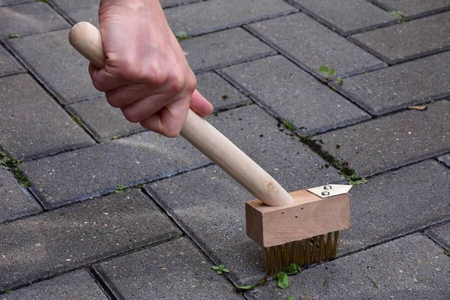 Pro Garden Onkruidborstel Voegenkrabber Met Steel Voor De Tuin 36 Cm Tuinieren Buiten Voegenborstel