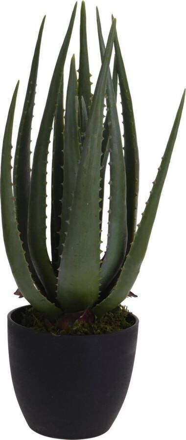 Pro Garden ProGarden-Kunstplant-in-pot-Aloe-Vera-25x45-cm