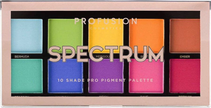 Profusion Cosmetics Spectrum 10 Shade Pro Pigment Palette Matte 10 kleuren 110 g Oogschaduw Palette