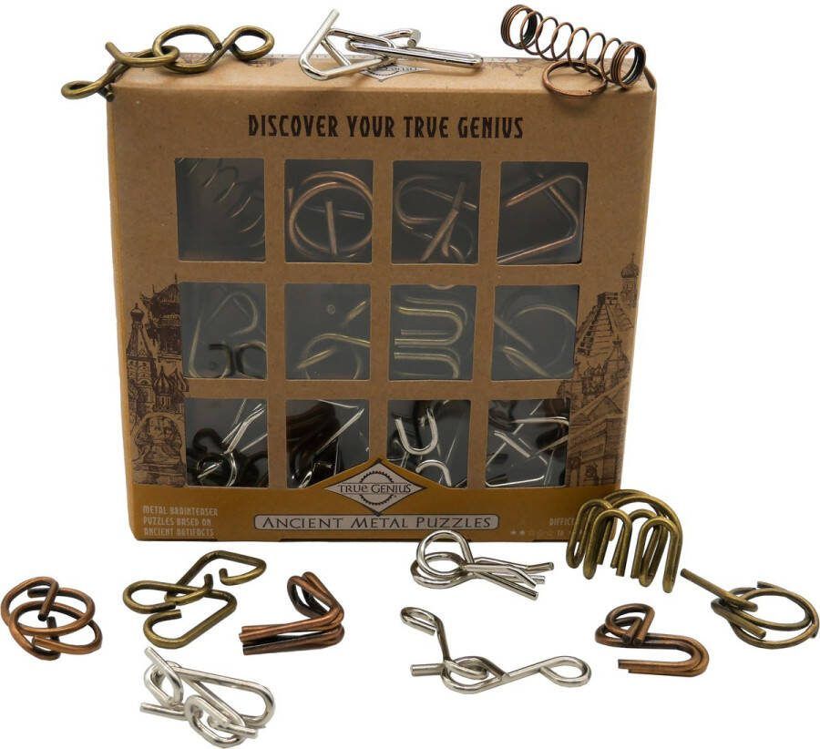 Project Genius Breinbreker Ancient 12 Metal Puzzles TG404PG