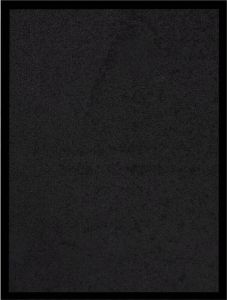 Prolenta Premium Deurmat 40x60 cm zwart Huis en Tuin