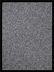 Prolenta Premium Deurmat 60x80 cm grijs Huis en Tuin