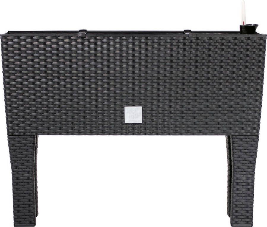 Prosperplast Kunststof Rato plantenbak op poten met irrigatiesysteem antraciet 60 x 25 x 46 cm 30 liter- Balkonbakken bloembakken