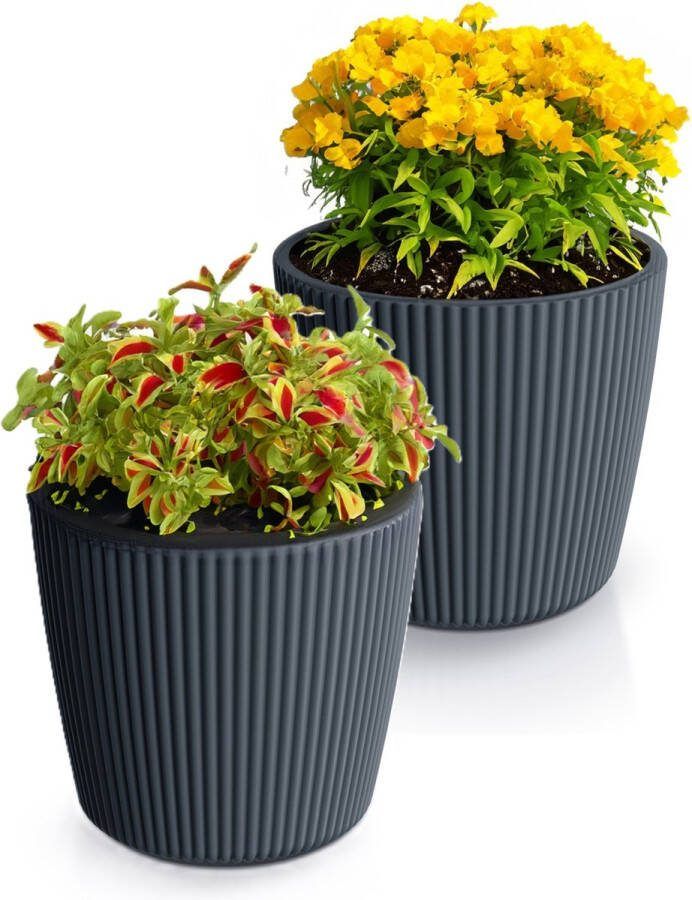 Prosperplast Plantenpot bloempot Buckingham 2x buiten binnen antraciet D23 x H21 cm