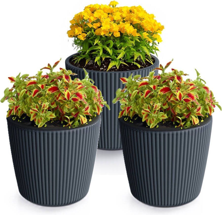 Prosperplast Plantenpot bloempot Buckingham 3x buiten binnen antraciet D17 x H15 cm