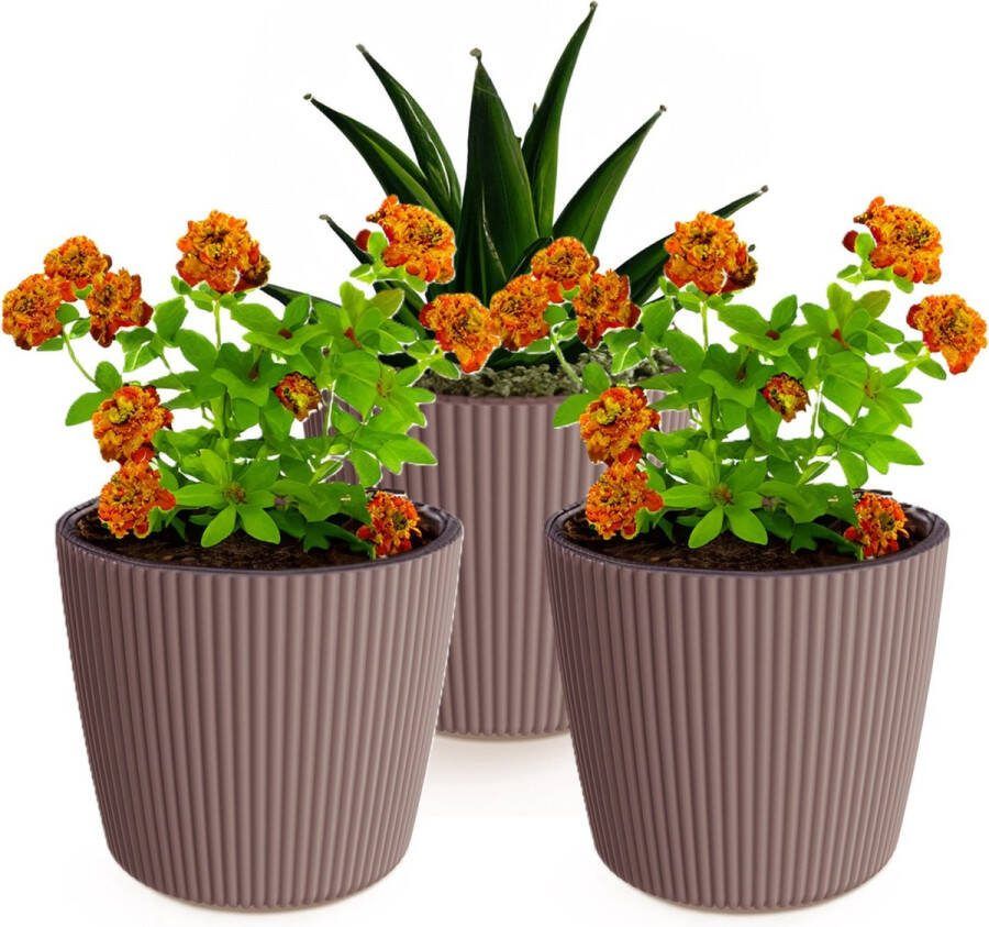 Prosperplast Plantenpot bloempot Buckingham 3x buiten binnen terra D17 x H15 cm
