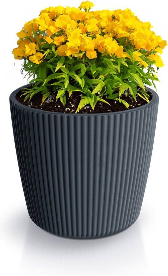 Prosperplast Plantenpot bloempot Buckingham buiten binnen design kunststof antraciet D14 x H13 cm