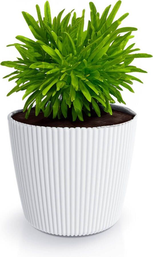 Prosperplast Plantenpot bloempot Buckingham buiten binnen design kunststof ivoor wit D14 x H13 cm