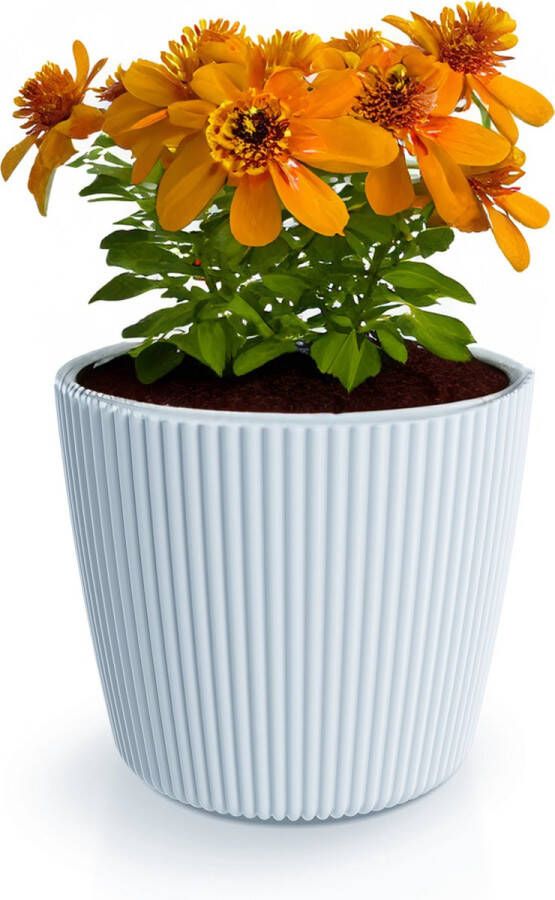 Prosperplast Plantenpot bloempot Buckingham buiten binnen design kunststof lichtgrijs D14 x H13 cm