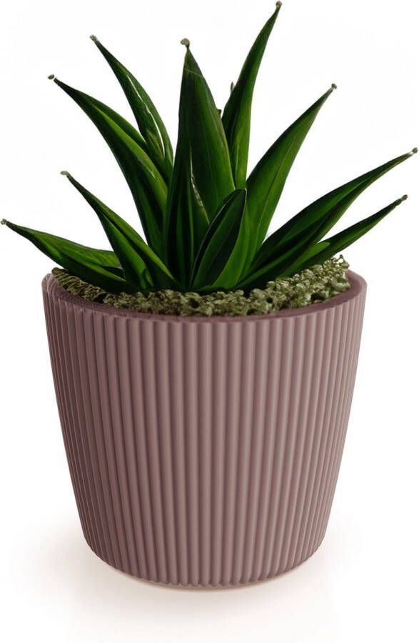 Prosperplast Plantenpot bloempot Buckingham buiten binnen design kunststof terra bruin D14 x H13 cm