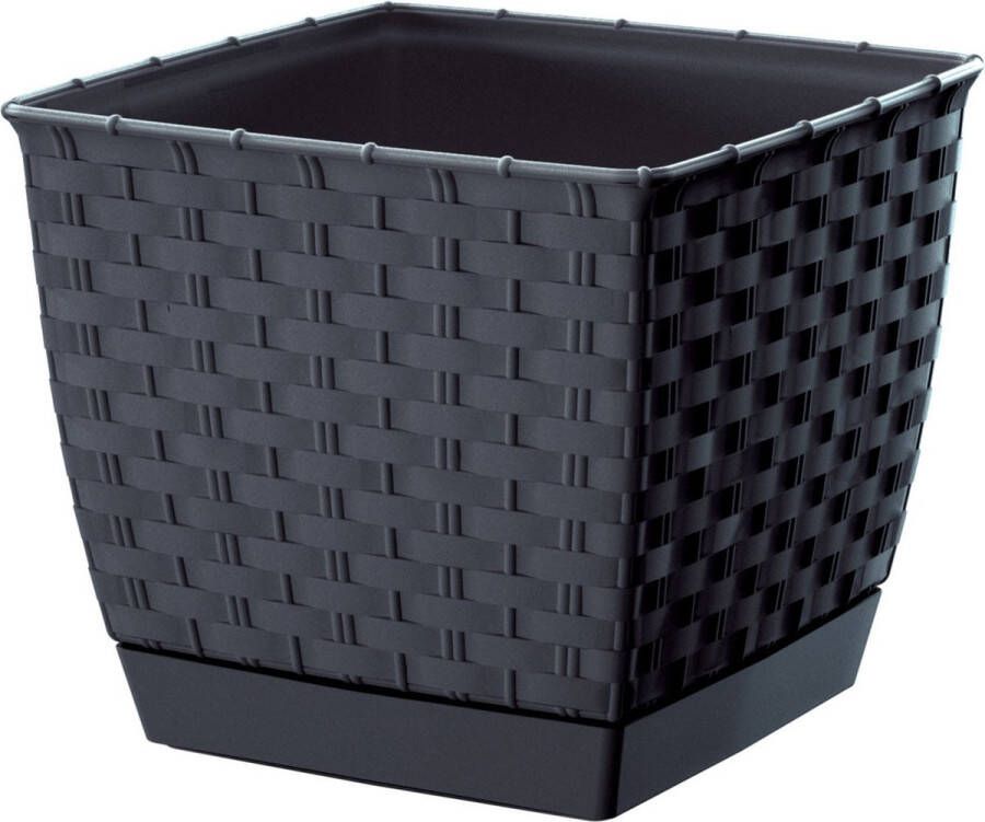 Prosperplast Plantenpot bloempot rotan kunststof 14.5 x 14.5 cm en hoogte 12.5 cm antraciet grijs voor binnen buiten