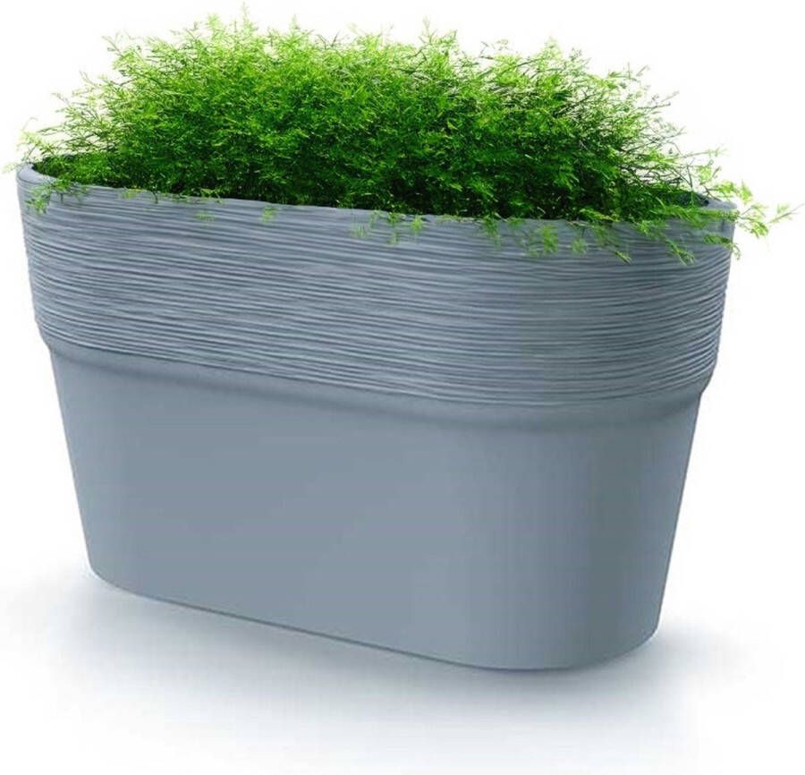 Prosperplast Plantenpot bloempot Windsor buiten binnen design kunststof lichtgrijs L28 x B15 x H15 cm Ovaal