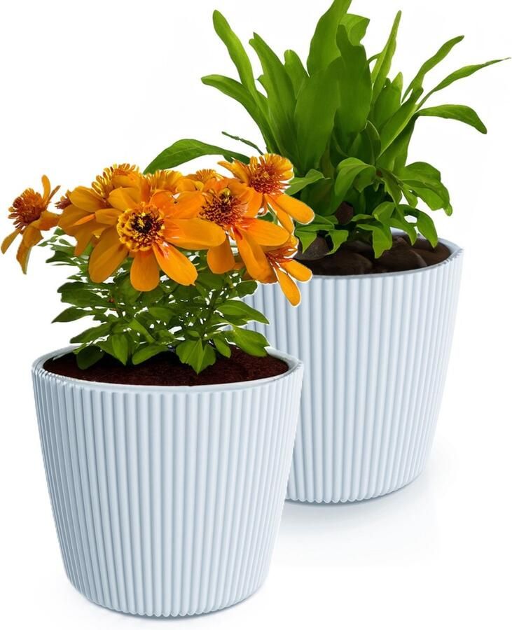 Prosperplast Plantenpot bloempot Buckingham 2x buiten binnen lichtgrijs D14 x H13 cm