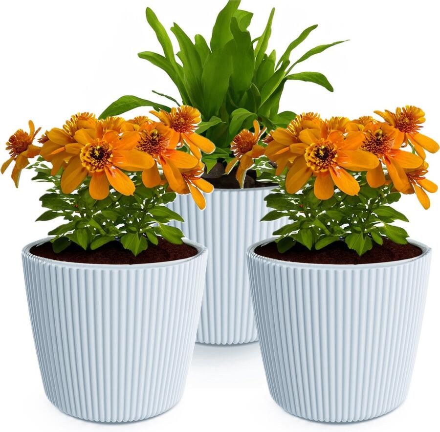 Prosperplast Plantenpot bloempot Buckingham 3x buiten binnen grijs D17 x H15 cm