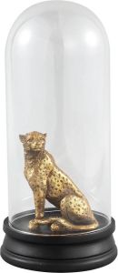 PTMD Amir Gold poly jaguar statue in bell jar