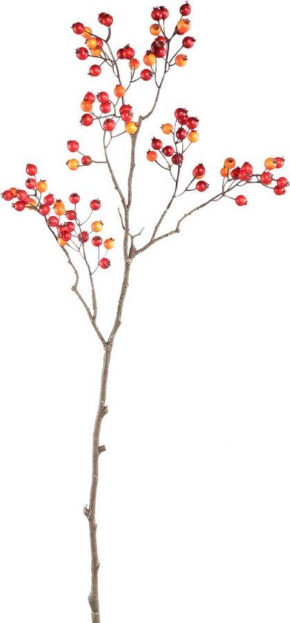 PTMD COLLECTION PTMD Berry Kunstplant 48x26x80 cm PE Rood
