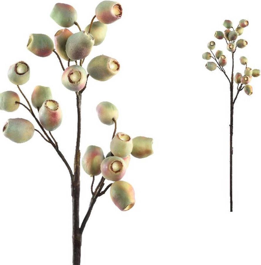 PTMD COLLECTION PTMD Berry Plant Eucalyptus Fruit Kunsttak 26 x 15 x 61 cm Lichtroze Groen