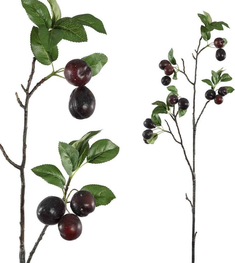 PTMD Collection Ptmd Berry Plant Pruimen Kunsttak 52 X 30 X 88 Cm Bordeaux