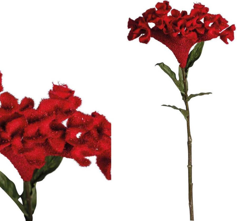 PTMD COLLECTION PTMD Celosia Kunstbloem 40 5 x 25 x 80 cm Rood