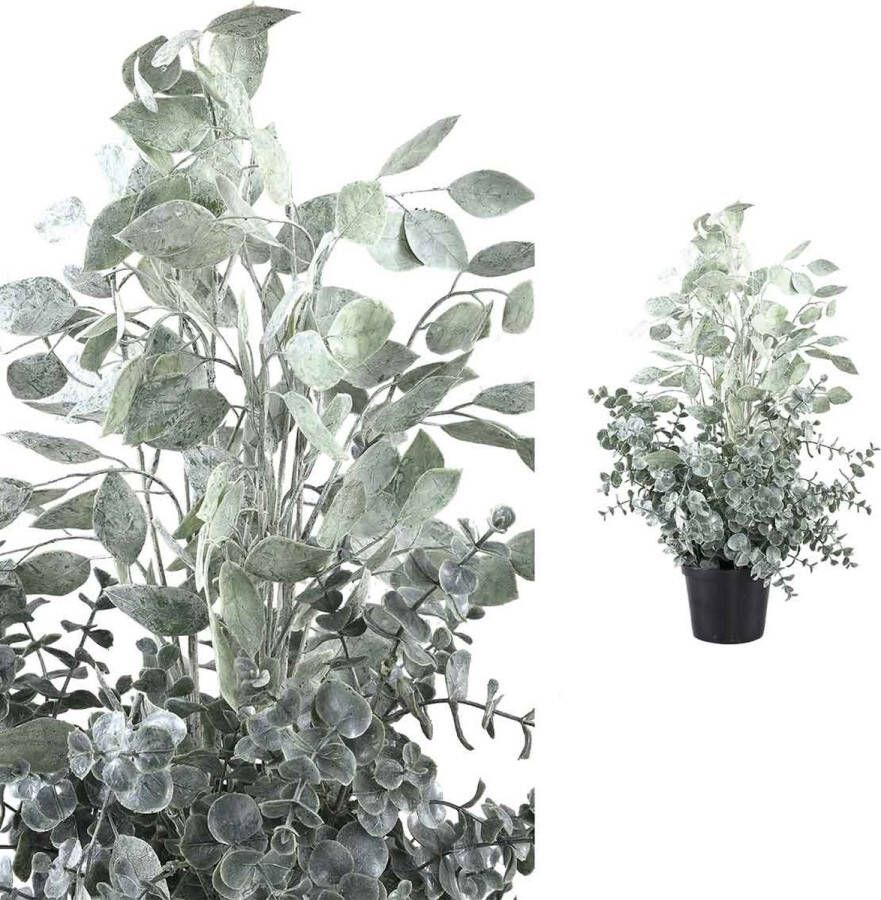 PTMD COLLECTION PTMD Eucalyptus Kunstplant H60 x Ø30 cm Plastic pot Grijs groen