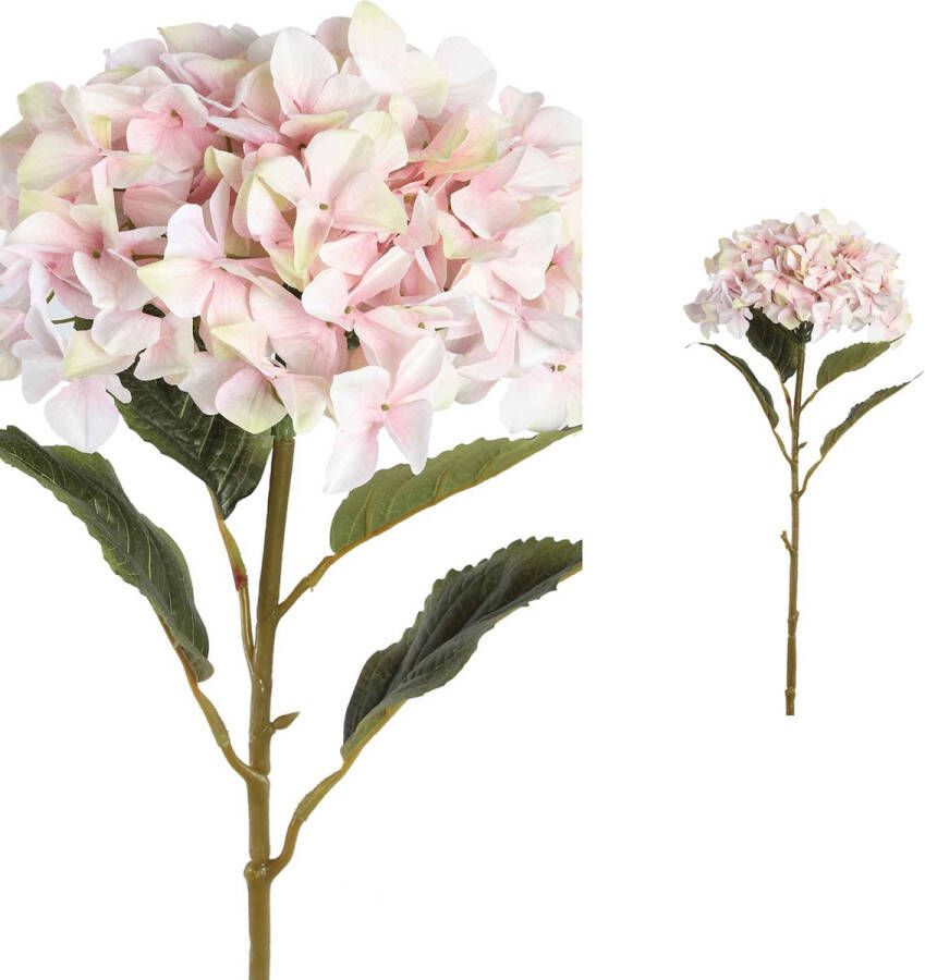 PTMD COLLECTION PTMD Hydrangea Flower Hortensia Prikker 41 x 34 x 111 cm Roze