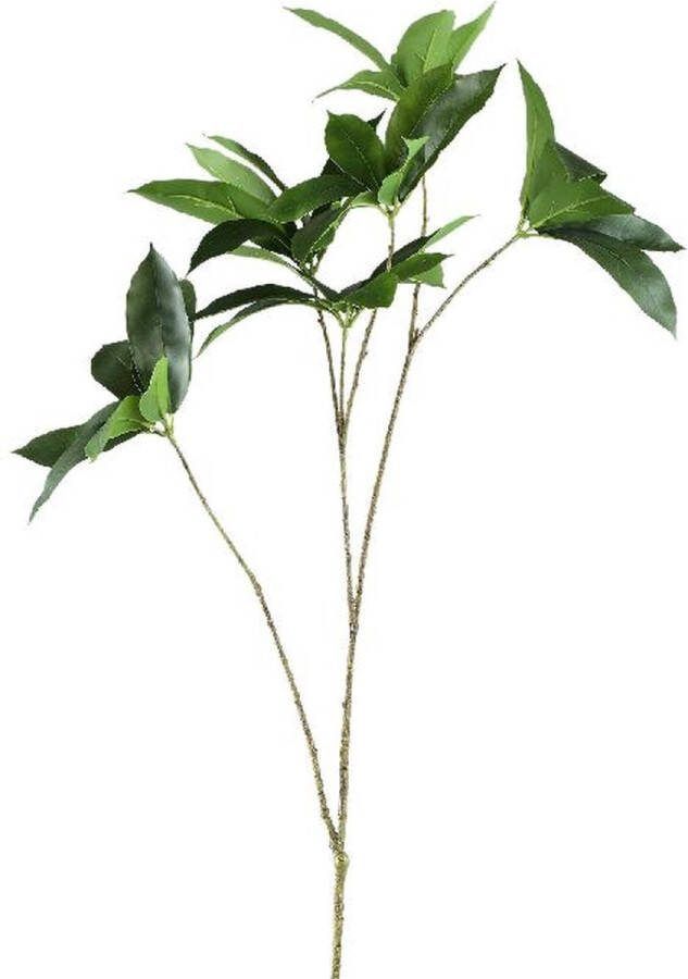 PTMD COLLECTION PTMD Kunsttak Bladeren 90x54x120 cm Kunststof Goud