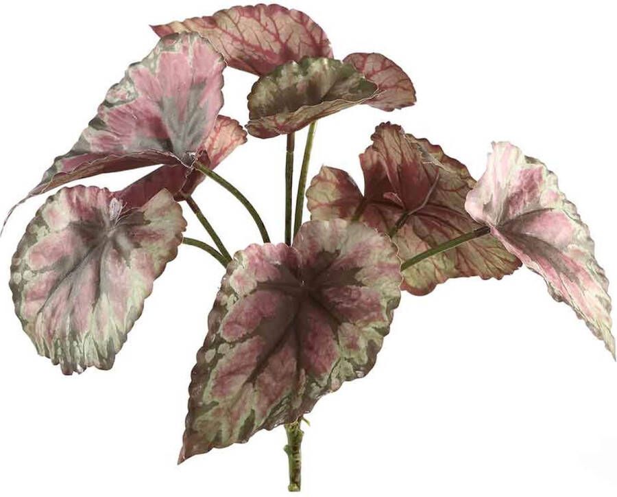 PTMD Collection Ptmd Leaves Plant Begonia Kunsttak 17 X 22 X 33 Cm Paars groen