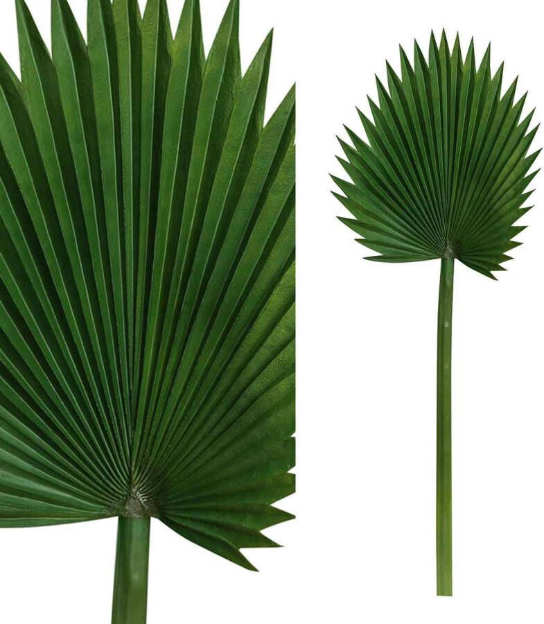 PTMD COLLECTION PTMD Leaves Plant Fan Palm Kunstblad 35 x 34 x 94 cm Groen