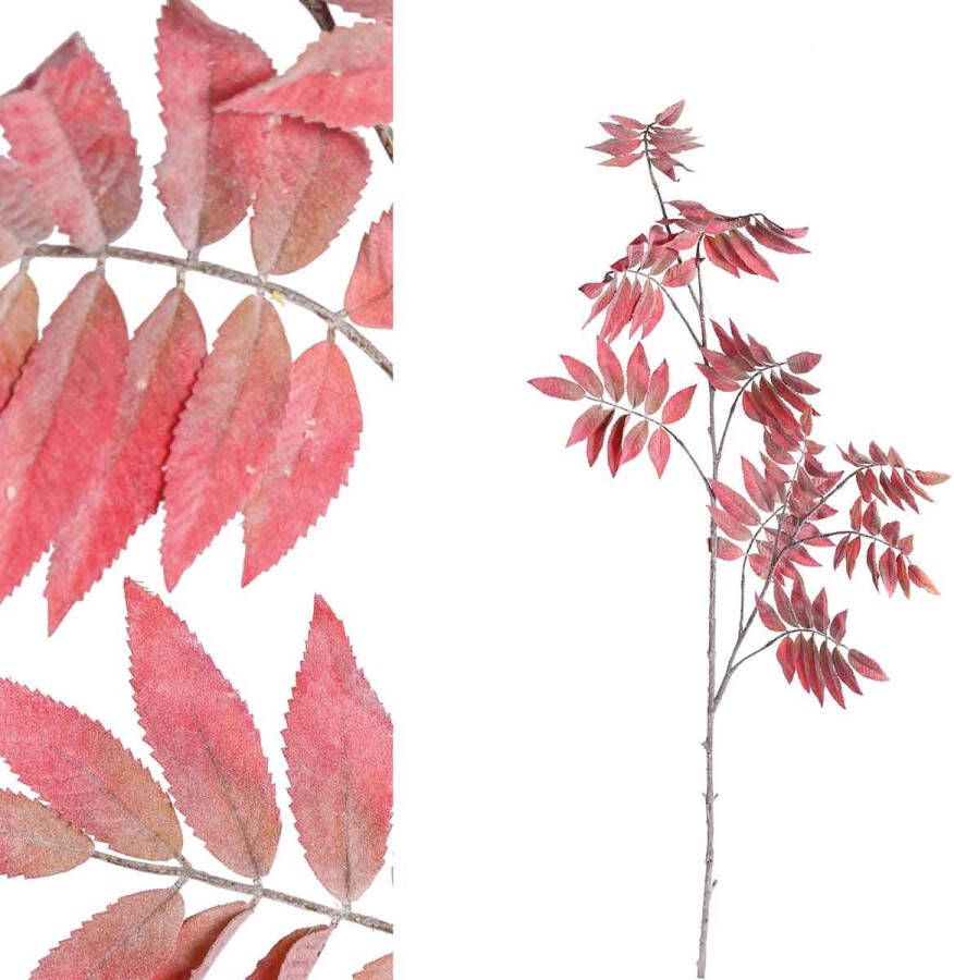PTMD Collection Ptmd Leaves Plant Heaven Tree Kunsttak 104 5 X 30 X 140 Cm Rood